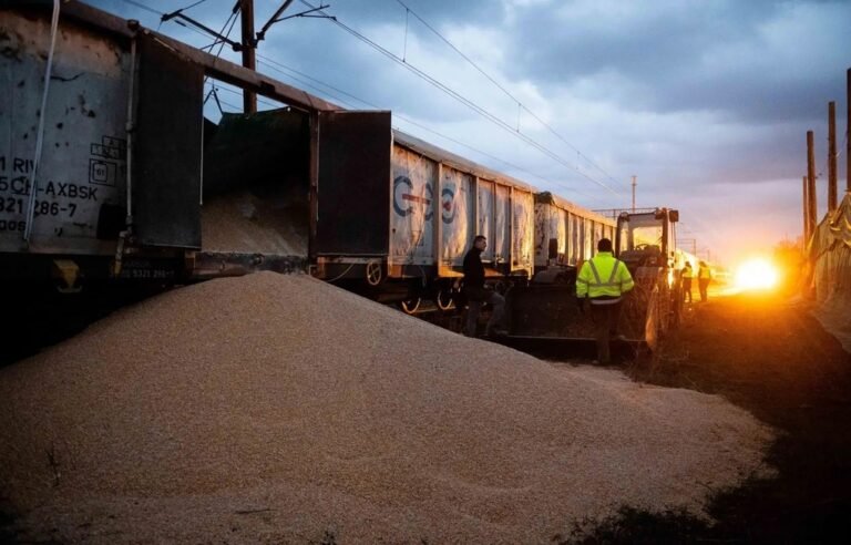 Poland considers temporarily blocking goods from Ukraine amid tensions over grain 0